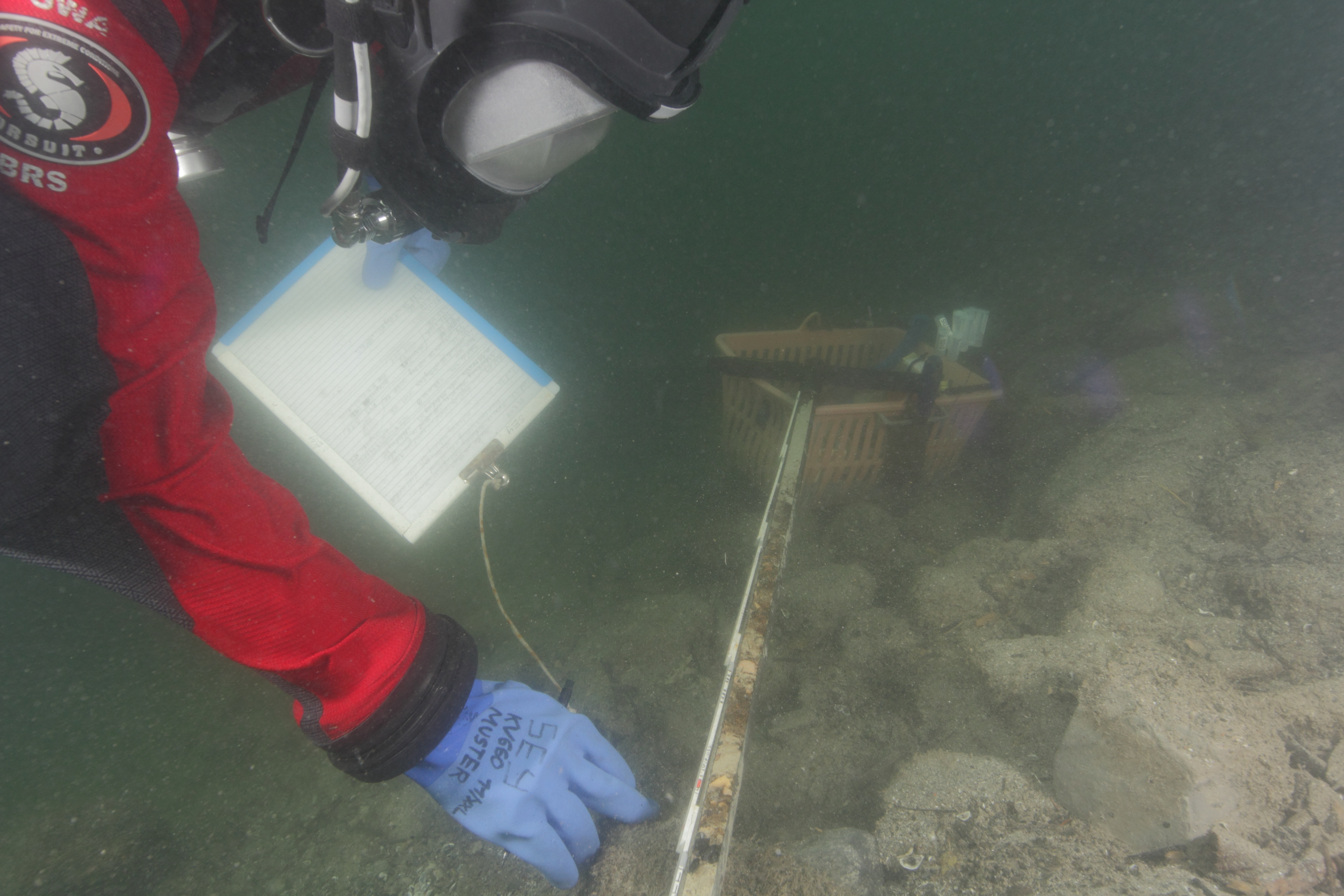 Taucharbeit unter Wasser. Ein Taucher der Unterwasserarchäologie dokumentiert einen Bohrkern. Foto: Unterwasserarchäologie der Stadt Zürich
